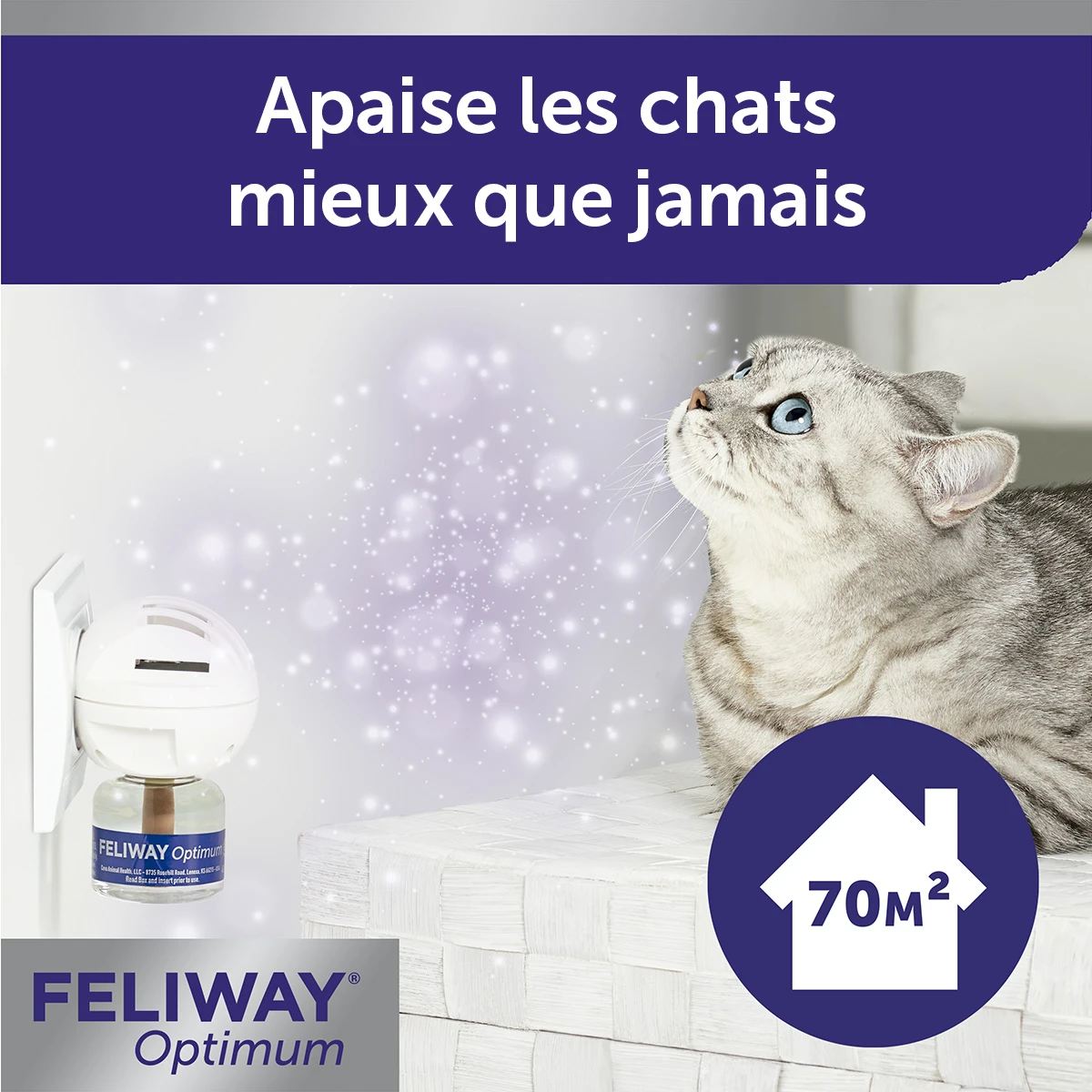 FELIWAY Optimum Diffuseur 12 FELIWAY Optimum Diffuseur – Image 10