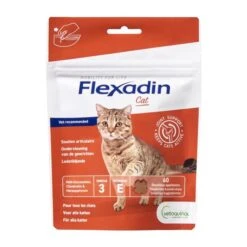 Flexadin Chat 60 Bouchées