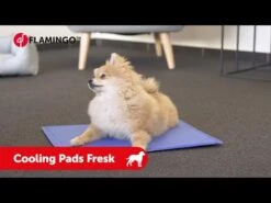 Flamingo Tapis Rafraîchissant Fresk - L (90x50cm) -France Animalerie hqdefault 5 2