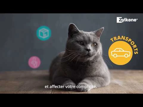 Zylkène Chew 75mg Petit Chien - 14 Bouchées 4 Zylkène Chew 75mg Petit Chien - 14 Bouchées – Image 2