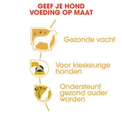 Royal Canin Yorkshire Adult Pour Chien 1,5kg -France Animalerie rc bhn yorkshire cv eretailkit 3 nl nl