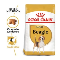 Royal Canin Beagle Adult Pour Chien 12kg -France Animalerie royal canin beagle adult beagle adulte 1