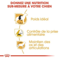 Royal Canin Beagle Adult Pour Chien 12kg -France Animalerie royal canin beagle adult beagle adulte 2