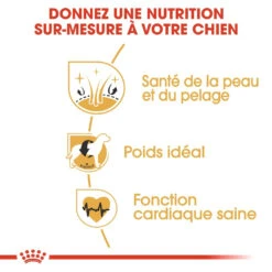 Royal Canin Cocker Adult Pour Chien 12kg -France Animalerie royal canin cocker adult cocker 2 1