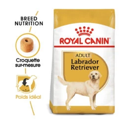 Royal Canin Labrador Retriever Adult Pour Chien 12kg -France Animalerie royal canin labrador retriever adult croquettes pour chien labrador retriever adulte 1
