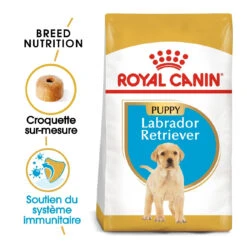 Meilleures ventes -France Animalerie royal canin labrador retriever puppy labrador retriever junior 1