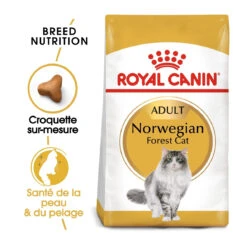 Royal Canin Chat Norvégien Adult 10kg -France Animalerie royal canin norvegien adult norvegien 1