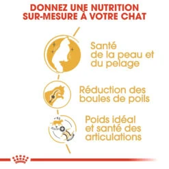 Royal Canin Chat Norvégien Adult 10kg -France Animalerie royal canin norvegien adult norvegien 2