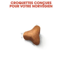 Royal Canin Chat Norvégien Adult 10kg -France Animalerie royal canin norvegien adult norvegien 3