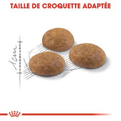 Royal Canin Outdoor Pour Chat 10kg 12 Royal Canin Outdoor Pour Chat 10kg -France Animalerie royal canin outdoor outdoor 2