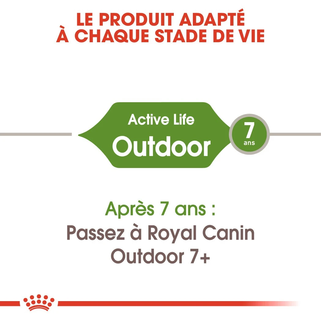 Royal Canin Outdoor Pour Chat 10kg 7 Royal Canin Outdoor Pour Chat 10kg – Image 5
