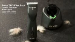 Tondeuse Pulse Andis ZR II -France Animalerie tondeuse andis