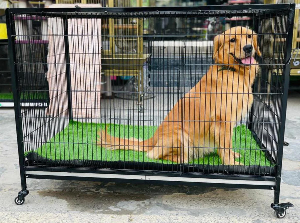 France Animalerie -France Animalerie 2